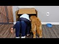 What S In The Box
