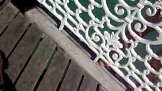 James Keane's OE - Random Brighton Pier mischieviousness