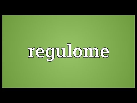 Regulome Meaning