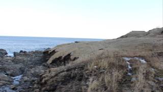 preview picture of video 'Hiking Trails of Cape Breton - Money Point'