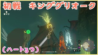 【ゼルダの伝説 ティアキン】キンググリオークを見つけたから倒してみた！！(ネタバレ注意)