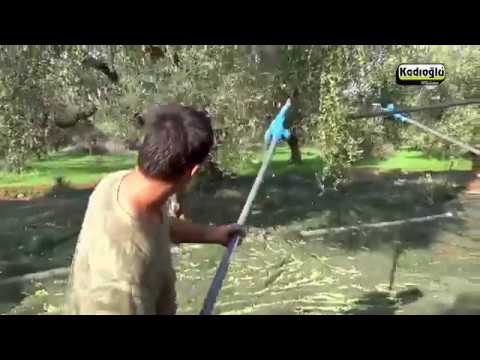 ATRAX V4 PRO Zeytin Hasat Makinesi - En Hafif, En Güçlü