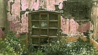 I'm Not Trying to Forget You Anymore -- Willie Nelson -- 37 Years of Memories