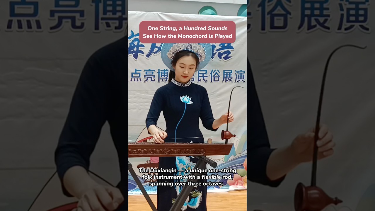 🎵 One String, a Hundred Sounds — The Magic of the Monochord