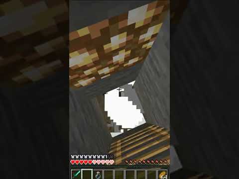 I found a Guy duplicating Items on a Minecraft server