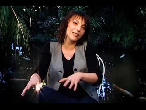 Buzy : Une vie un live (1ère Partie - 2006)