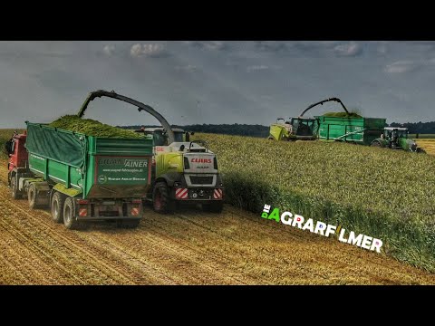 2 CLAAS Jaguar 980 am GPS häckseln / Die Agrarfilmer