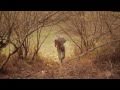 Efterklang - I Was Playing Drums (Official Video)