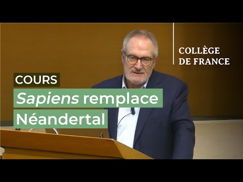 Sapiens remplace Néandertal (4/6)