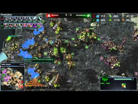 DH Summer 2013 - Weiman(T) vs Goatswarm(Z) G1