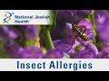 Insect Sting Allergies What You Need To Know