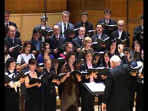 "Mândru-i cerul" de Iulian CÂRSTOIU.wmv