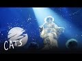 The Ad-dressing of the Cats | Cats the Musical