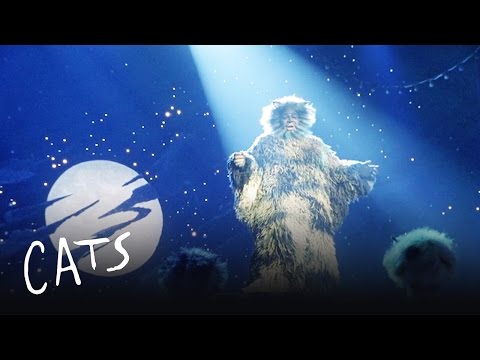 The Ad-dressing of the Cats | Cats the Musical