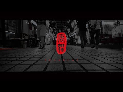 唐貓 SUGARCAT【唐貓】Official Music Video