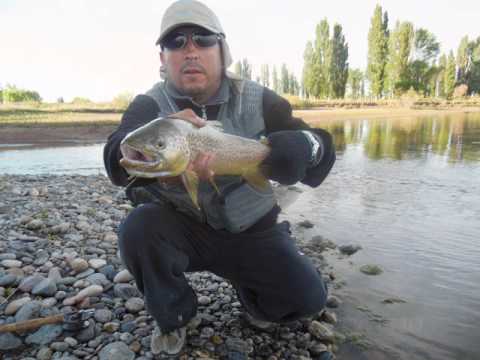 mosqueros del limay