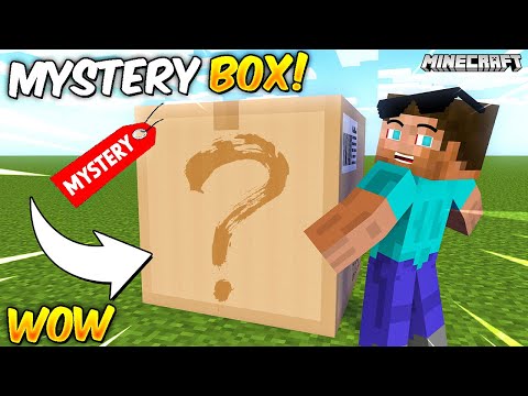 Minecraft But There are MYSTERY BOX!
