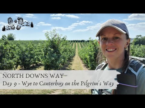 NORTH DOWNS WAY: Day 9 - Wye to Canterbury