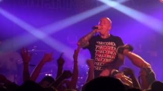 Gorilla Biscuits - Forgotten