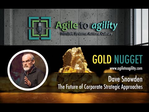 Dave Snowden: The future of corporate strategic approaches - Agile to agility - Gold Nugget