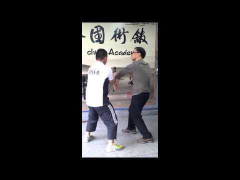 Singapore Wing Chun Academy - Understanding Energies in Chi Sao