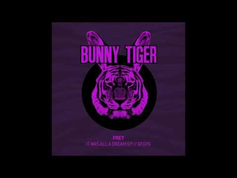 FREY & Earstrip - With U[OUT NOW]