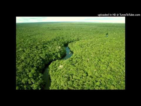 Fred Baker VS Greg Nash - Back from Amazonia