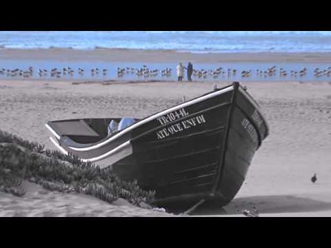 Nikos Vangelis -  Ocean Dreams (Relaxation Music)