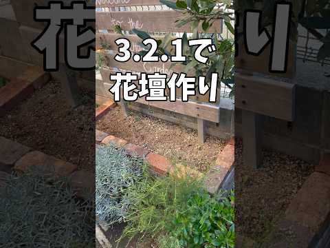  「木の周りに花壇を作るには？」プロジェクトを実行するために知っておくべきルールは何ですか？ »  庭園