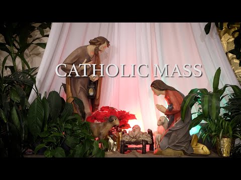 Roman Catholic Mass for January 11th, 2026: The Baptism of the Lord