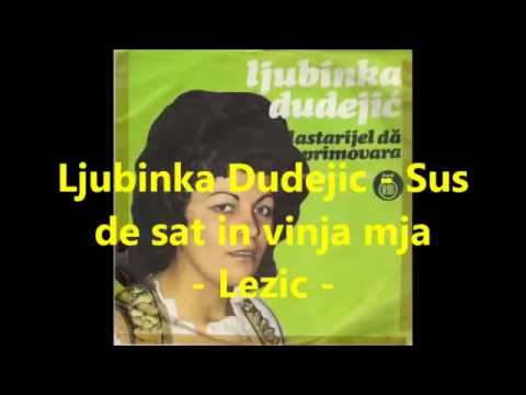 Ljubinka Dudejic   Sus de sat in vinja mja