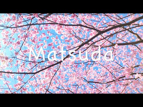 Matsuda, Japan: SAKURA Festival with Cherry Blossoms | 4K 60fps