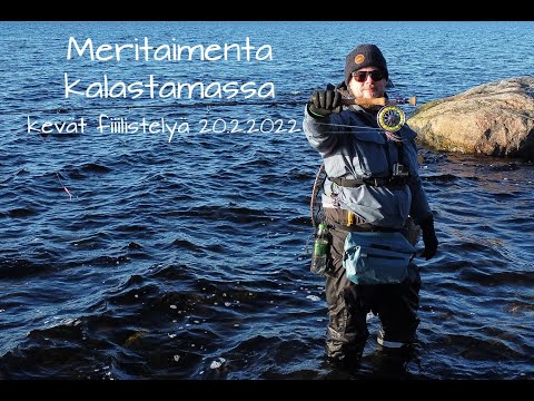 Meritaimen reissu 2022 fiilistelyä