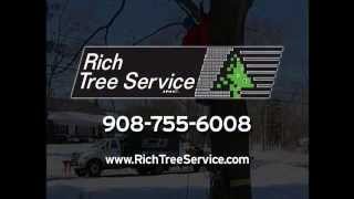 preview picture of video 'Rich Tree Service South Plainfield NJ'