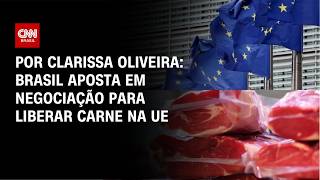 Vídeo: Brasil aposta em negociação para liberar carne na União Europeia | BASTIDORES CNN