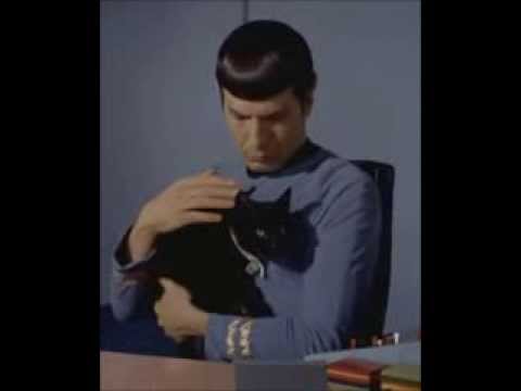 LISBENT - UNKNOWN FORCE