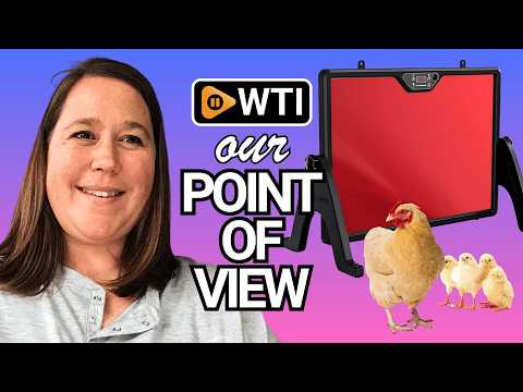 2026 Smart Chicken Coop Heater Coop Radiant Heat Panel Built-in Adaptive Temperature Sensor - WTI product video review