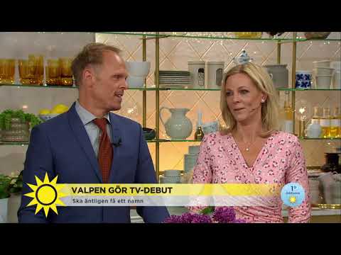 Hundnamnet som förvirrar: sluta slicka mig på fötterna - Nyhetsmorgon (TV4)