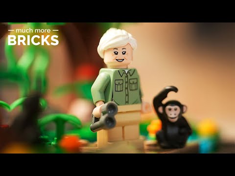 Vidéo LEGO Objets divers 40530 : Hommage à Jane Goodall