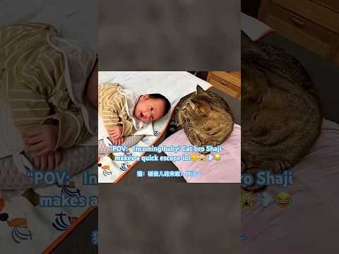 POV:   Incoming  baby! Cat bro Shaji makes a quick escape lol 👶🙀💨😂 猫：碰瓷娃来啦！快闪～