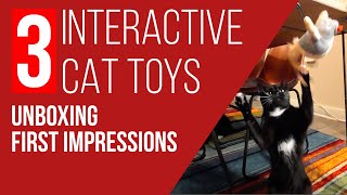 3 Interactive Cat Toys Unboxing and First Impressions | #diy