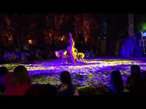 Aboriginal Dance Koolangkas Kreate Dembart Wardanji (Fremantle Arts Festival Western Australia) 2016