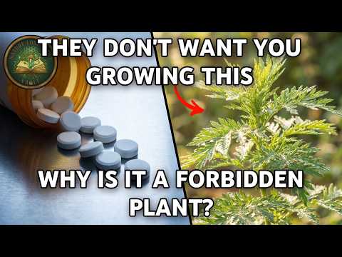 The Nobel Prize Weed. Why Are We Warned Not to Use It?