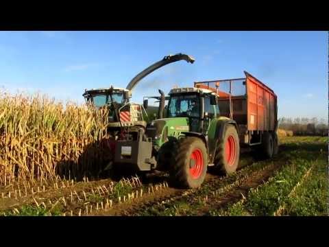 Loonbedrijf Verplancke mais hakselen met claas jaguar 960