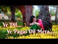 Ye Dil Ye Pagal Dil Mera Har Pal Tujhe Awaj De Kumar Sanu WhatsApp Status 30 Second