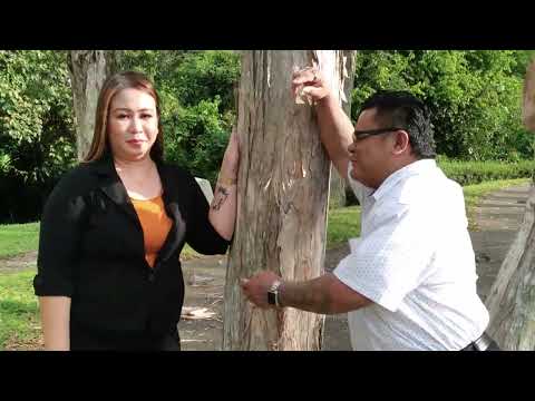 Dara Buah Ati -William Sanggat ( Official music video )