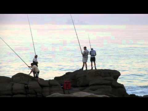 Oscar & Martin - Lion's Heart