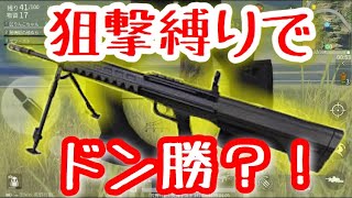【姉視点】荒野行動で狙撃銃縛り！？果たして結果は...【荒野行動】