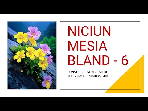 NICIUN MESIA BLAND - 6