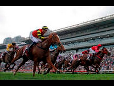 2017 H K The Chairman's Sprint Prize